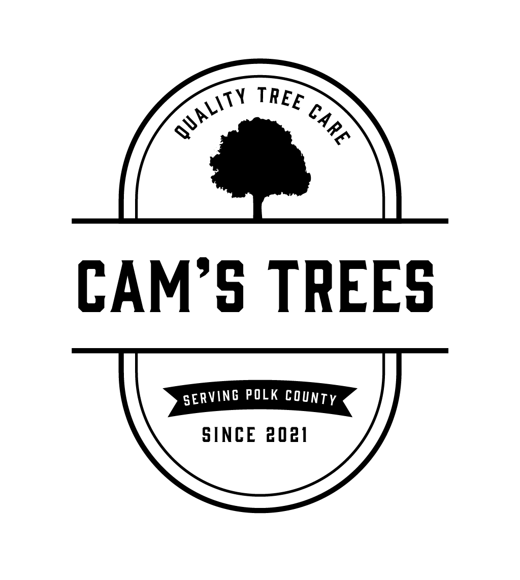 cams_trees