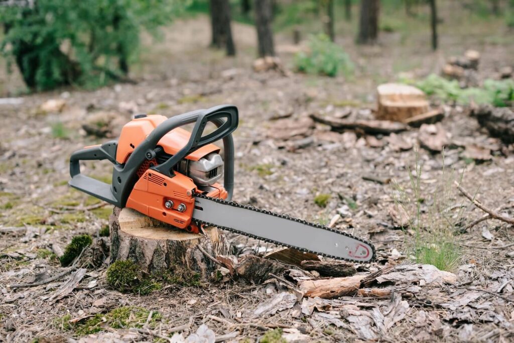 Should You Hire a Professional to Remove a Tree or Can You DIY it stump care maintenance methods