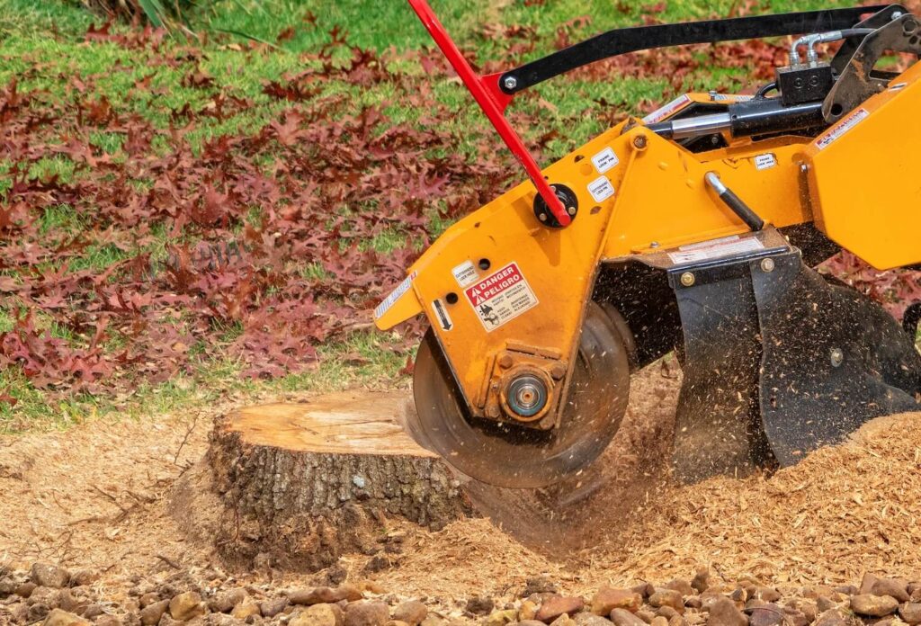 How Professional Stump Grinding Makes Your Property Look So Much Better improve