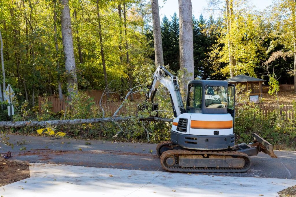 Why Tree Removal Services Can Be So Important After a Hurricane storm health