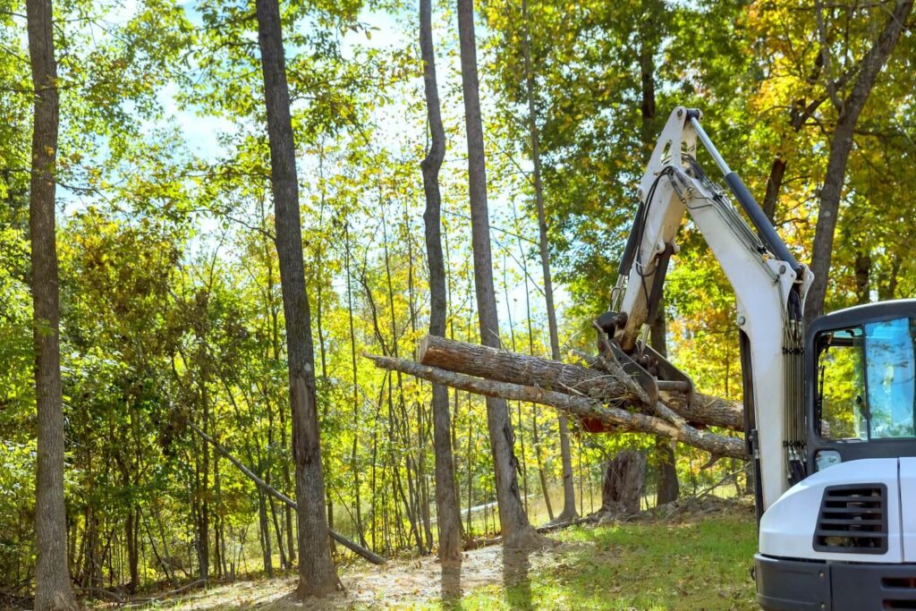 Why It's Important To invest in Professional Tree Removal Services soil care plants yard