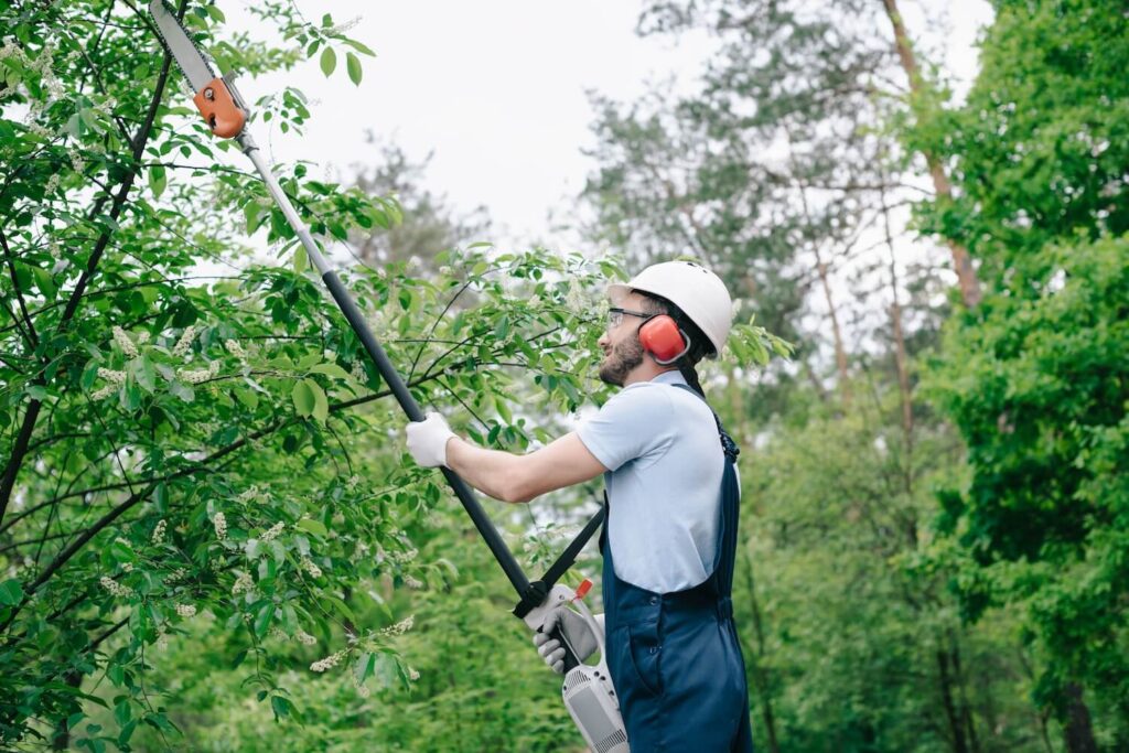 Why You Should Hire a Professional To Trim Your Trees and Not Attempt it Yourself services menu