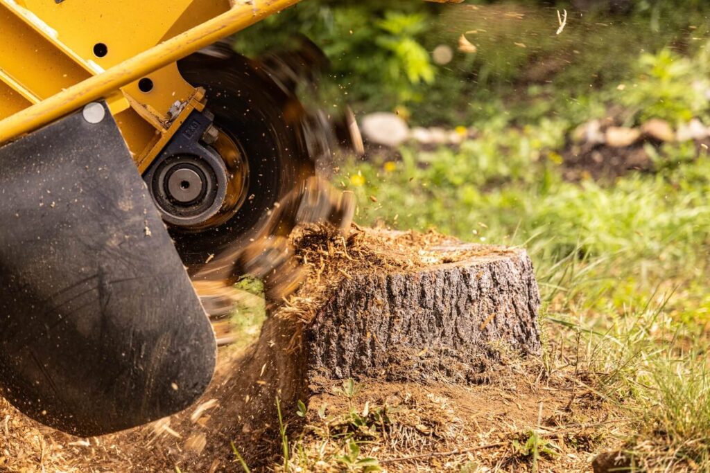 Why You Need a Professional To Grind Stumps and Make Your Yard More Beautiful stump grinding professional process